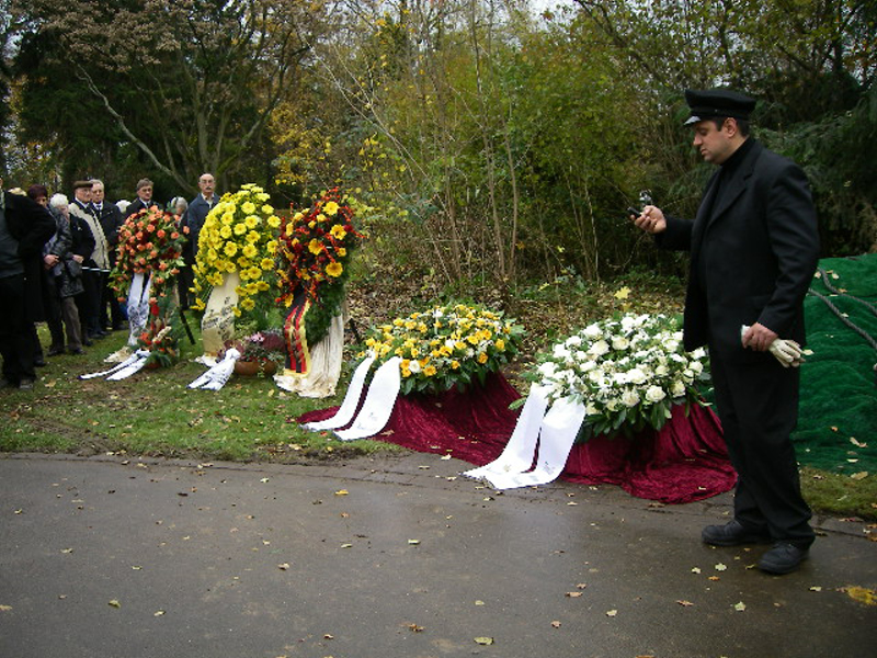 IMGP3309